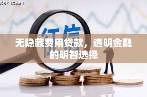 高唐无隐藏费用贷款，透明金融的明智选择