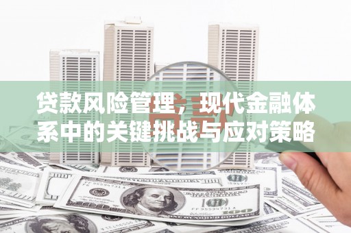 兴平贷款风险管理，现代金融体系中的关键挑战与应对策略