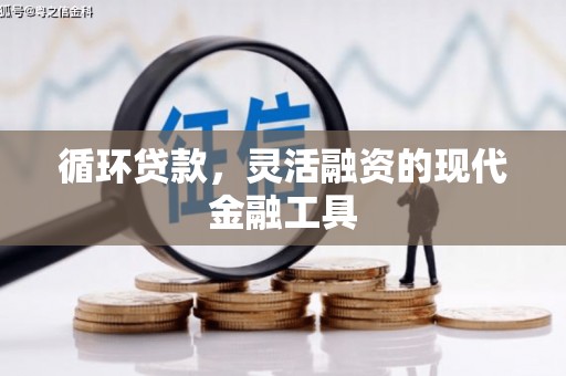 龙泉驿循环贷款，灵活融资的现代金融工具