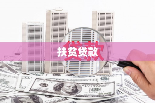 普湾新区扶贫贷款
