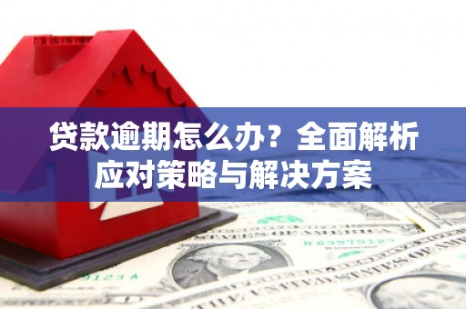 蔡甸贷款逾期怎么办？全面解析应对策略与解决方案