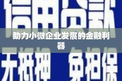 浦东助力小微企业发展的金融利器