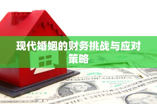 山南现代婚姻的财务挑战与应对策略