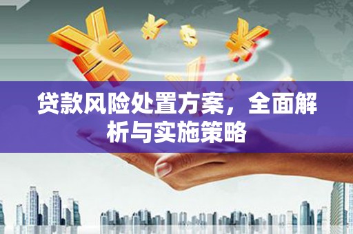 禹州贷款风险处置方案，全面解析与实施策略