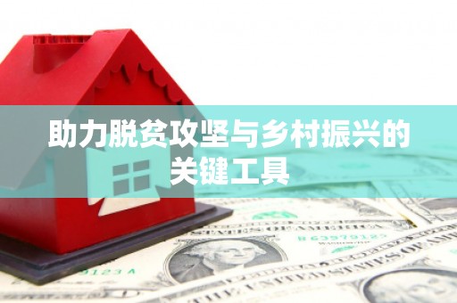 阿莲助力脱贫攻坚与乡村振兴的关键工具