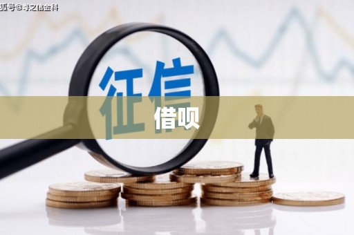 滨海借呗
