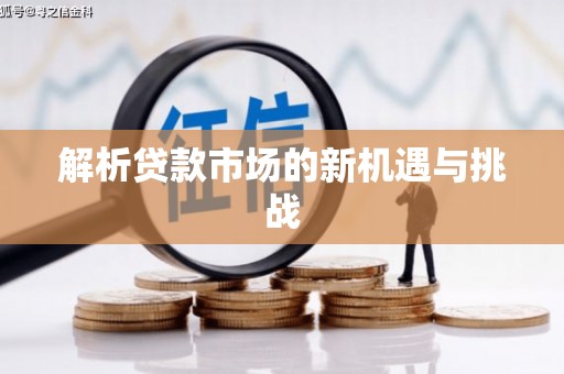 称多解析贷款市场的新机遇与挑战