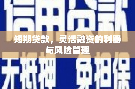 铜仁短期贷款，灵活融资的利器与风险管理